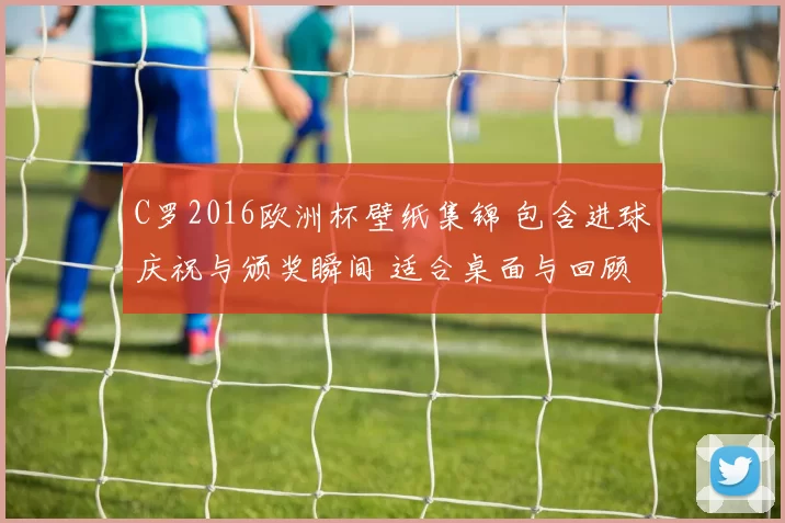 C罗2016欧洲杯壁纸集锦 包含进球庆祝与颁奖瞬间 适合桌面与回顾