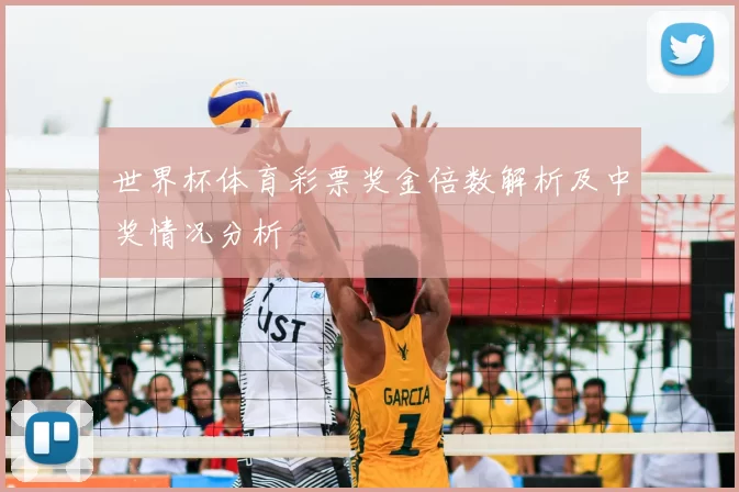 世界杯体育彩票奖金倍数解析及中奖情况分析