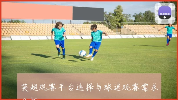 英超观赛平台选择与球迷观赛需求分析