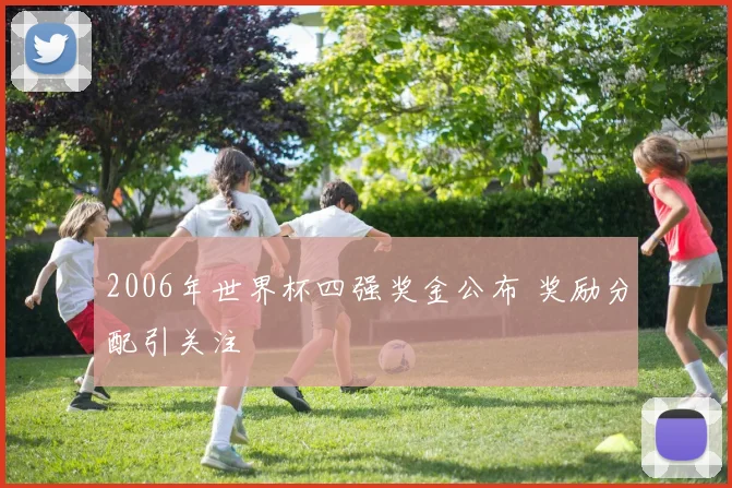 2006年世界杯四强奖金公布 奖励分配引关注