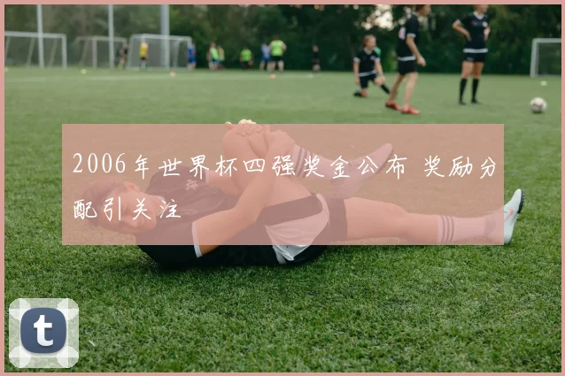 2006年世界杯四强奖金公布 奖励分配引关注