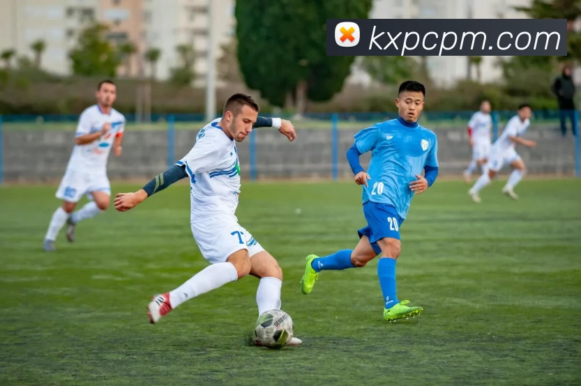 米兰app中国区官网发展历程